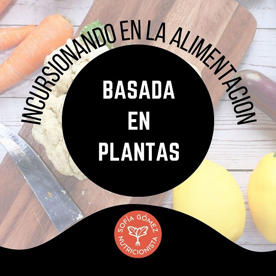 BASADA EN PLANTAS